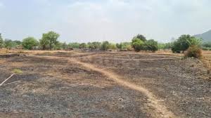 Buy Commercial Land for Sale in Panvel
